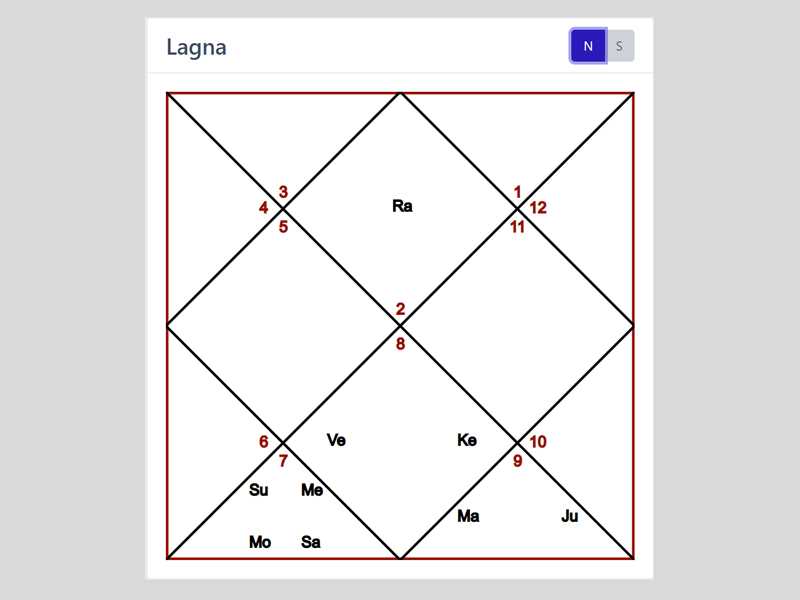 screen shot of lagna360 platform showing an example horoscope